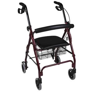 Image Produit Rollator Alustyle