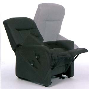 Image Produit Fauteuil releveur Ontario I