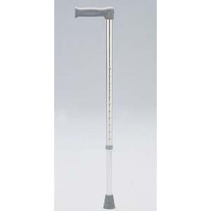 Image Produit Canne Standard