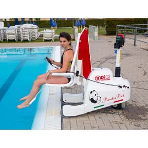 Image Produit Elévateur de piscine mobile sur batteries Panda Pool