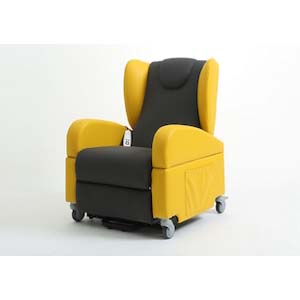 Image Produit Fauteuil releveur Proclassic