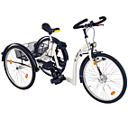 Image VPH Momo Essentiel